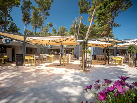 Außencafébereich mit Sonnenschirmen und Tischen im Valamar Camping Ježevac, umgeben von Kiefern.