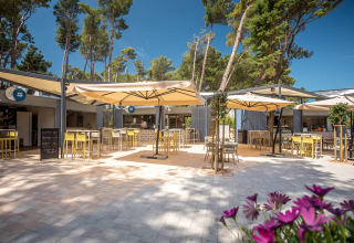 Area caffè all'aperto con ombrelloni e tavoli al Valamar Camping Ježevac in Croazia, circondata da pini.