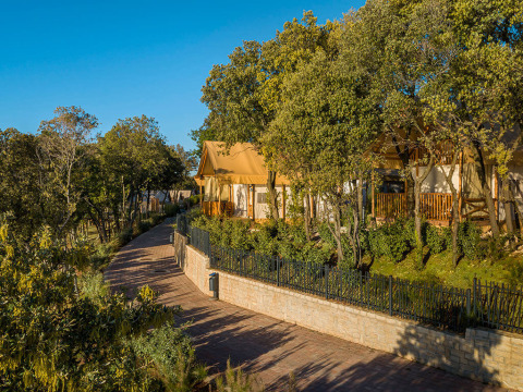 Zonnige glamping tenten tussen de bomen bij Sunset Glamping Tent, Valamar Camping Istra, Kroatië.