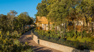 Zonnige glamping tenten tussen bomen bij Sunset Glamping Tent, Valamar Camping Istra, Kroatië.