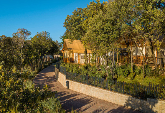 Zonnige glamping tenten tussen de bomen bij Sunset Glamping Tent, Valamar Camping Istra, Kroatië.