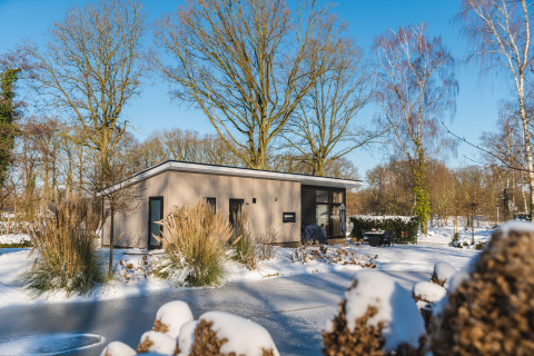Casa moderna en Holiday Park De Lochemse Berg, Gelderland, Países Bajos, rodeada de nieve y árboles invernales.