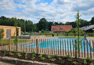 View of a pool, wooden fence, and charming buildings at Camping Dal van de Mosbeek, Overijssel, Netherlands.