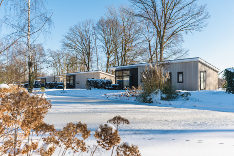 Sneklædte hytter og træer i Holiday Park De Lochemse Berg, en ferielandsby i Gelderland, Holland.