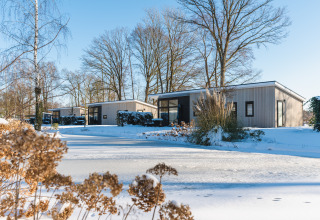 Schneebedeckte Ferienhäuser und Bäume im Holiday Park De Lochemse Berg, Gelderland, Niederlande.