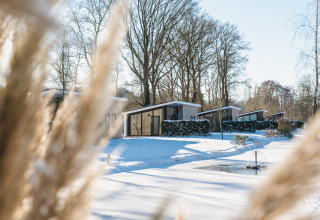 Lodge