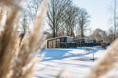 Sneeuwbedekte moderne huisjes omringd door bomen in vakantiepark De Lochemse Berg, Gelderland, Nederland.