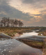 Atardecer en un humedal con pasarelas modernas de madera en un parque vacacional de glamping.