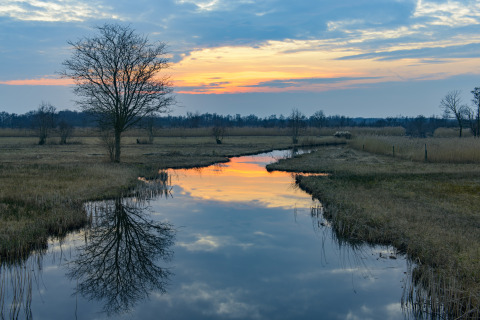 Sonnenuntergang über einem ruhigen Fluss und Feldern in einem Ferienpark mit Glamping-Unterkünften.