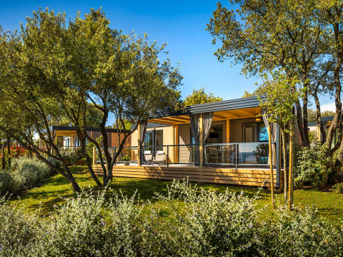 Bella Vista Home lodge omgeven door groene bomen en struiken onder een heldere blauwe lucht, rustige sfeer.