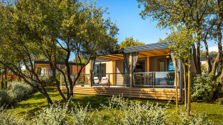 Bella Vista Home lodge omringd door groene bomen en struiken onder een blauwe lucht, rustige en zonnige plek.