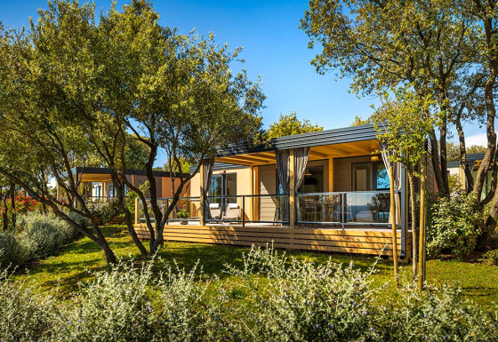 Bella Vista Home lodge omgeven door groene bomen en struiken onder een heldere blauwe lucht, rustige sfeer.