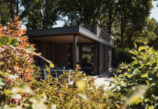 Cabaña moderna rodeada de abundante vegetación y árboles, con terraza soleada y zona de descanso exterior.