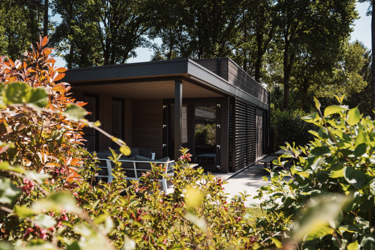 Modern lodge surrounded by lush greenery and trees, featuring a sunlit terrace and comfortable seating area.
