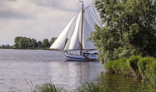 Velero navegando en un lago tranquilo junto a zonas verdes en un parque vacacional con glamping.