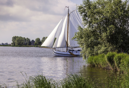 Voilier naviguant sur un lac paisible près de la verdure dans un parc de vacances avec glamping.