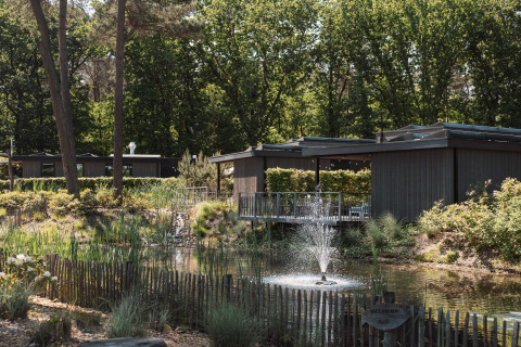 Un lodge tranquillo immerso nella natura, circondato da alberi e cespugli con stagno e fontana davanti.