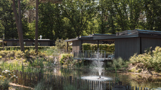 En fredelig lodge omgivet af træer og buske med en dam og springvand foran, beliggende i naturen.