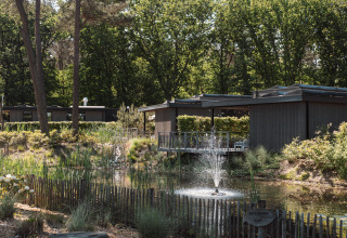 Un lodge tranquillo immerso nella natura, circondato da alberi e cespugli con stagno e fontana davanti.