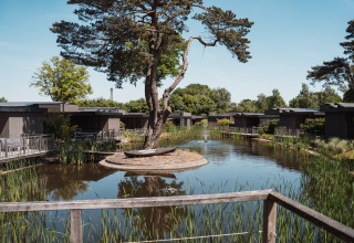 Moderne Lodges an einem ruhigen Teich mit Schilf, großen Bäumen und klarem Himmel in der Natur.