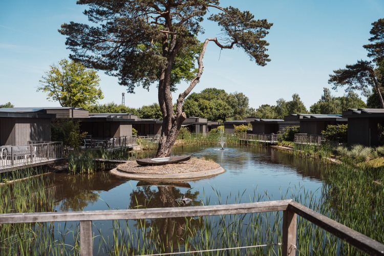 Moderne Lodges an einem ruhigen Teich mit Schilf, großen Bäumen und klarem Himmel in der Natur.