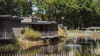 Træhytter ved en dam omgivet af grønne planter og skov, sollys filtrerer gennem trækronerne.