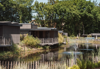 Cabañas de madera junto a un estanque con fuentes, rodeadas de vegetación y árboles en verano.