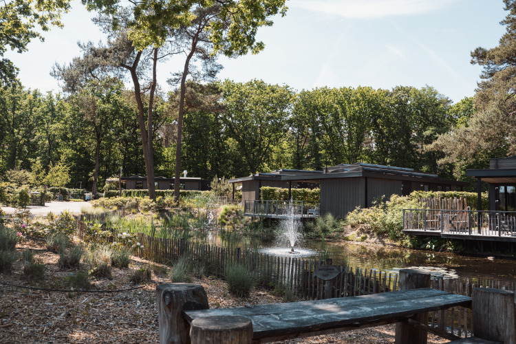 Outdoor lodge with wooden cabins, a pond and fountain, surrounded by lush trees under a sunny sky.