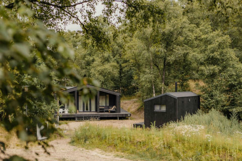 Afbeelding van The Hills tiny house met hottub en sauna, omringd door een groene, bosrijke natuur.
