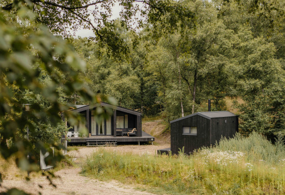 Afbeelding van The Hills tiny house met hottub en sauna, omringd door een groene, bosrijke natuur.