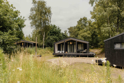 Moderne tiny houses bij Wilsumer Berge in Duitsland, omringd door natuur, voorzien van sauna en hot tub.