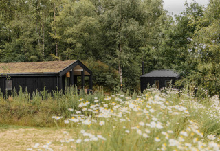 Zwart tiny house met groendak en sauna te midden van wilde bloemen bij Wilsumer Berge, Duitsland.
