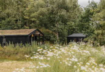 Casa pequeña negra con techo de césped y sauna entre flores silvestres y árboles en Wilsumer Berge, Alemania.