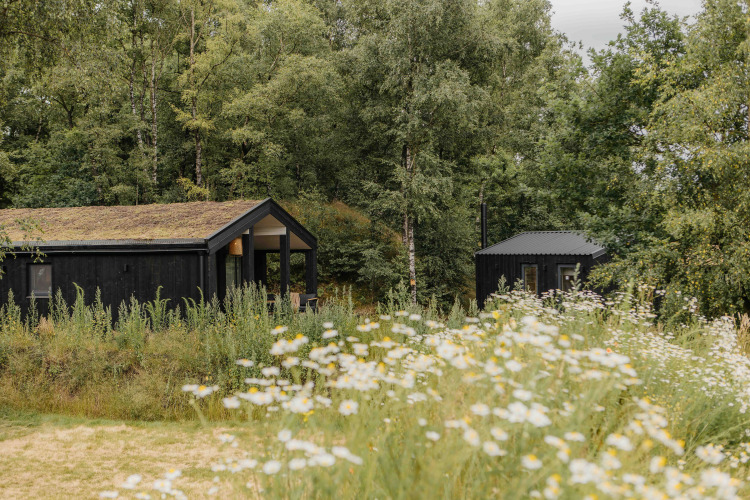 Casa pequeña negra con techo de césped y sauna entre flores silvestres y árboles en Wilsumer Berge, Alemania.