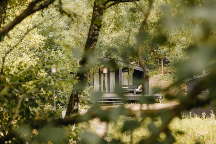 Pequeña casa negra The Hills con bañera de hidromasaje y sauna, entre árboles en Wilsumer Berge, Alemania.