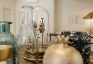 Jarrones decorativos de vidrio y escarabajos montados bajo campana en una mesa de alojamiento glamping.