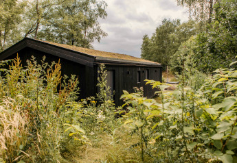 Cabane de glamping noire parmi les herbes hautes et les plantes sauvages dans un cadre naturel paisible.
