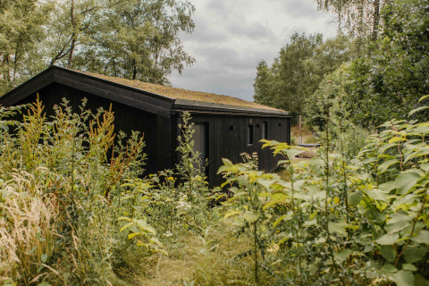 Een zwarte houten glampinghut verscholen tussen hoog gras en wilde planten in een groen landschap.
