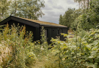 Een zwarte houten glampinghut verscholen tussen hoog gras en wilde planten in een groen landschap.