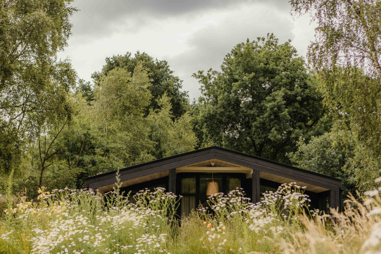 Alojamiento glamping entre la naturaleza, rodeado de flores silvestres y árboles bajo un cielo nublado.