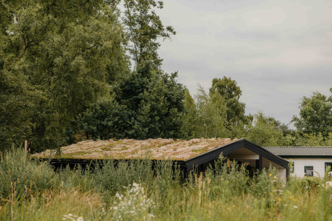 Klein huisje met groendak omgeven door wild gras en bomen bij Wilsumer Berge in Duitsland.