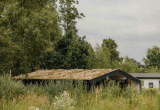 Klein huisje met groendak omgeven door wild gras en bomen bij Wilsumer Berge in Duitsland.