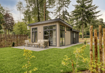 Moderne lodge met grote ramen en terras, omgeven door een groene grasmat en hoge bomen.