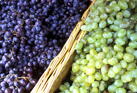 Racimos frescos de uvas verdes y moradas colocados uno al lado del otro en una cesta en un mercado.