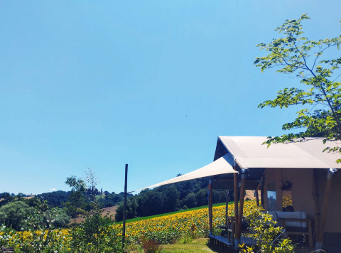 Safari tent with sanitary facilities at Camping Suasa in Italy, surrounded by sunflower fields and countryside.