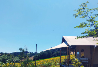 Safari tent with sanitary facilities at Camping Suasa in Italy, surrounded by sunflower fields and countryside.