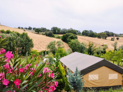 Safari tent with private sanitary facilities in lush scenery, pink flowers and fields in the background.