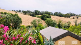 Tenda safari con servizi igienici privati in un paesaggio rigoglioso, fiori rosa e campi sullo sfondo.