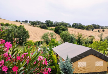 Safari tent with private sanitary facilities in lush scenery, pink flowers and fields in the background.