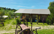 Safaritent met overkapping en veel groen bij Camping Suasa in Italië, onder een zonnige lucht en platteland.